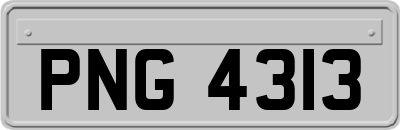 PNG4313