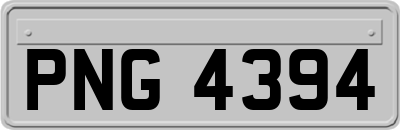 PNG4394
