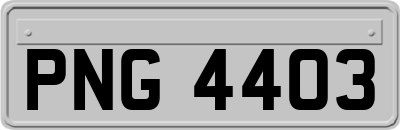 PNG4403