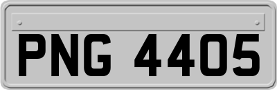 PNG4405