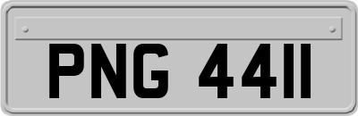 PNG4411