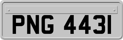 PNG4431