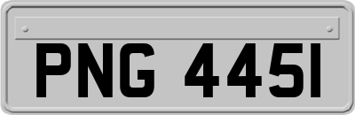 PNG4451