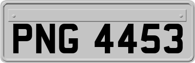 PNG4453