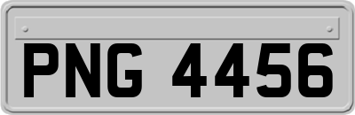 PNG4456