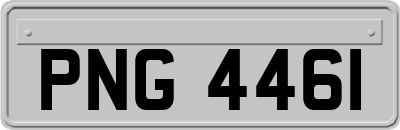PNG4461