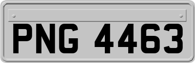 PNG4463