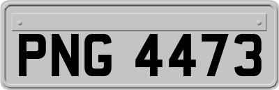 PNG4473