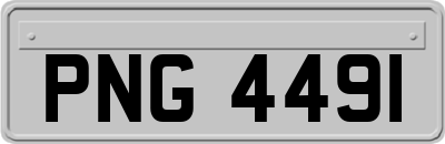 PNG4491