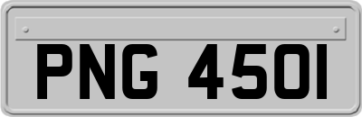 PNG4501