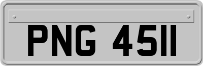PNG4511