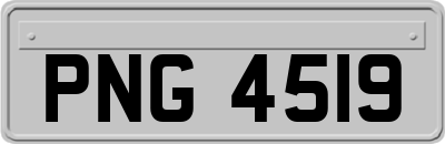PNG4519