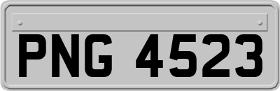 PNG4523