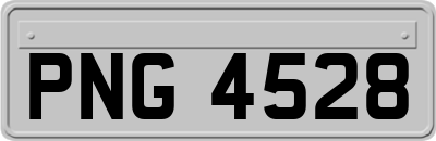 PNG4528