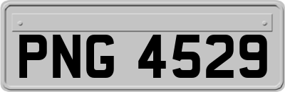 PNG4529