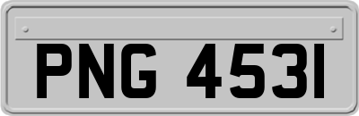 PNG4531
