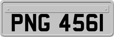 PNG4561