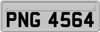 PNG4564