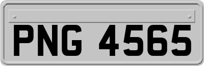PNG4565