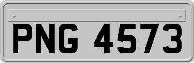 PNG4573