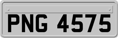 PNG4575