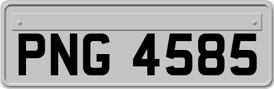 PNG4585