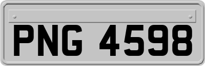 PNG4598