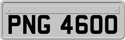 PNG4600