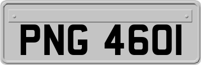 PNG4601