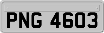 PNG4603