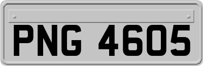 PNG4605