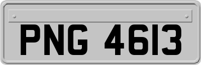 PNG4613