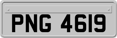 PNG4619