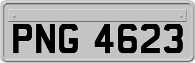PNG4623