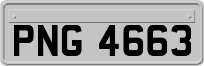 PNG4663