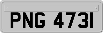 PNG4731