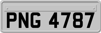PNG4787