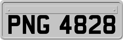 PNG4828