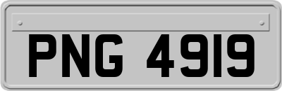 PNG4919