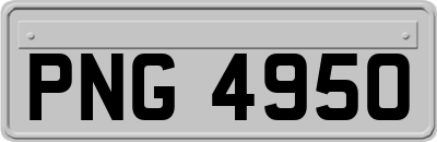 PNG4950