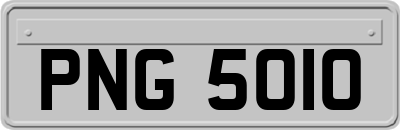 PNG5010