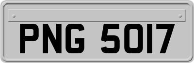 PNG5017