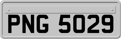 PNG5029