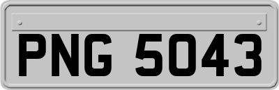 PNG5043