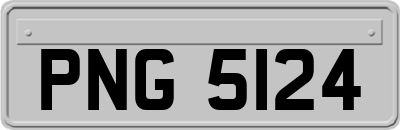 PNG5124
