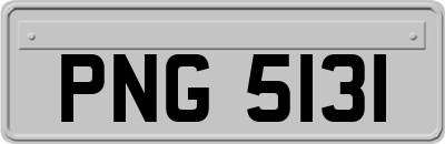 PNG5131