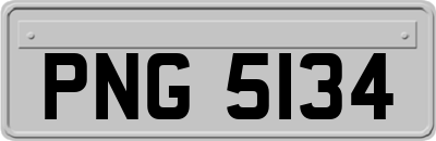 PNG5134