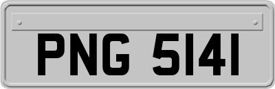 PNG5141