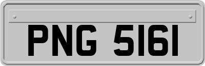 PNG5161