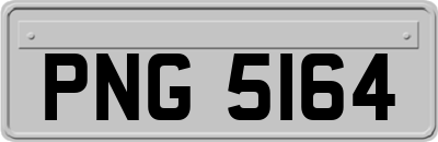 PNG5164